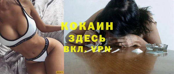 МДПВ Алзамай