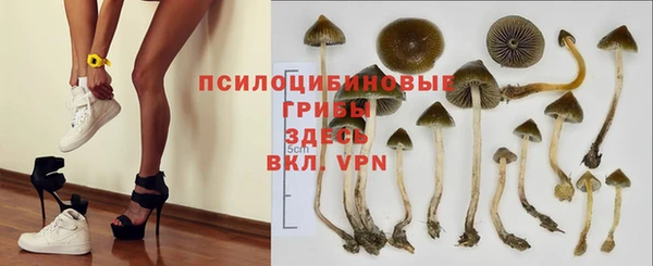МДПВ Алзамай