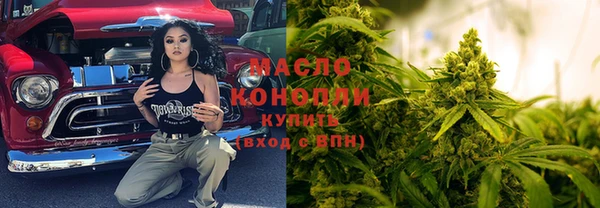 МДПВ Алзамай