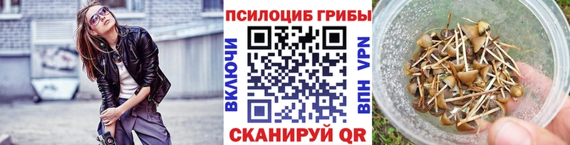 Псилоцибиновые грибы Psilocybine cubensis  Липки 